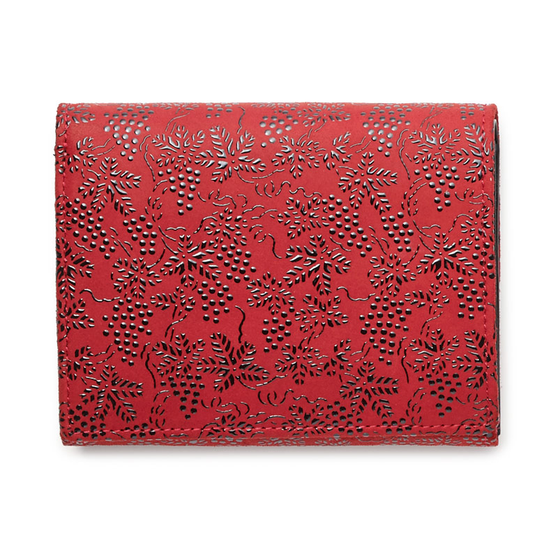 赤地×黒漆 ぶどう