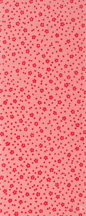 サーモン×アカ